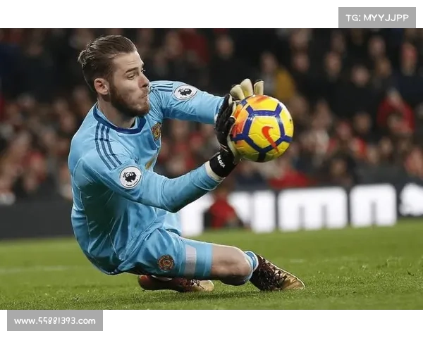 捷克足球历史上优秀门将的全方位解析及其代表性贡献